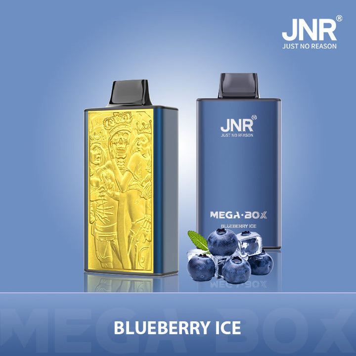 JNR Mega Box 25000 Rechargeable Disposable Vape
