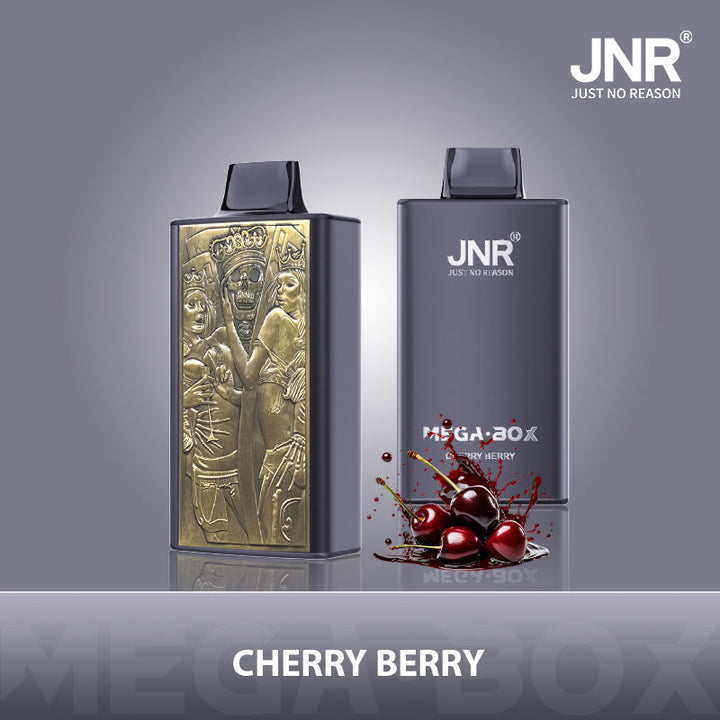 JNR Mega Box 25000 Rechargeable Disposable Vape
