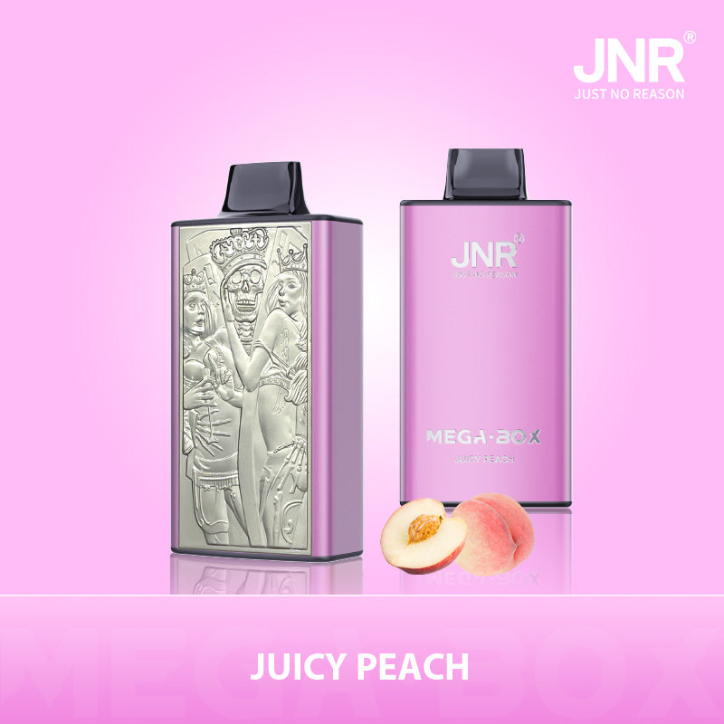JNR Mega Box 25000 Rechargeable Disposable Vape