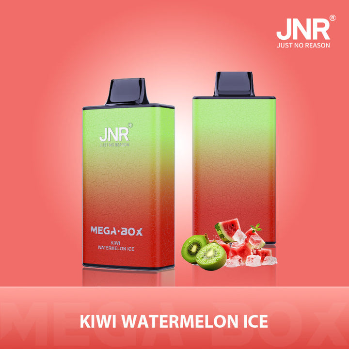 JNR Mega Box 25000 Rechargeable Disposable Vape