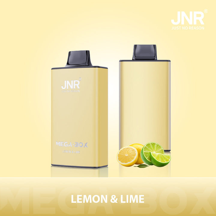 JNR Mega Box 25000 Rechargeable Disposable Vape