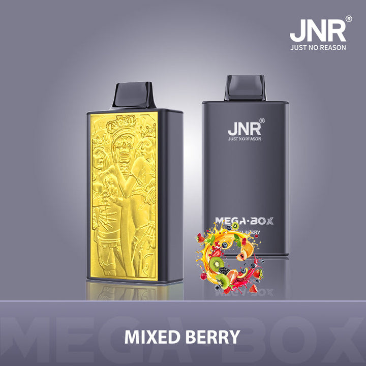 JNR Mega Box 25000 Rechargeable Disposable Vape