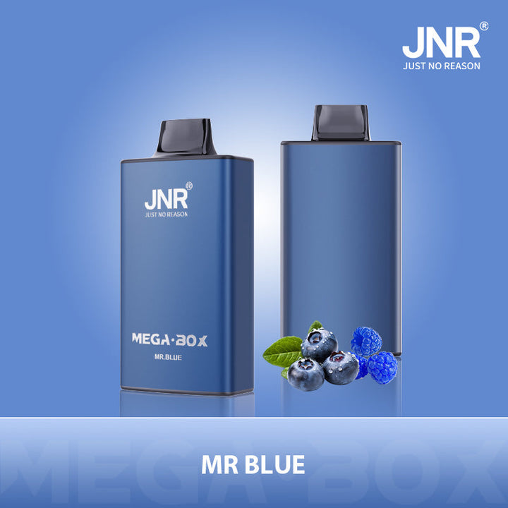 JNR Mega Box 25000 Rechargeable Disposable Vape