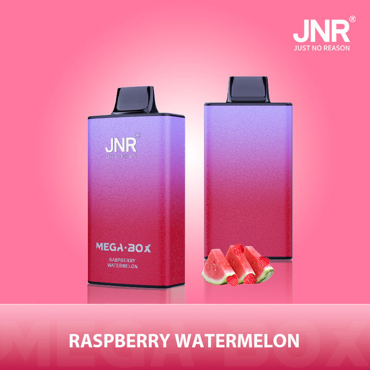 JNR Mega Box 25000 Rechargeable Disposable Vape