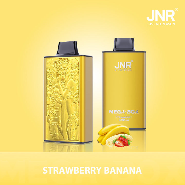 JNR Mega Box 25000 Rechargeable Disposable Vape