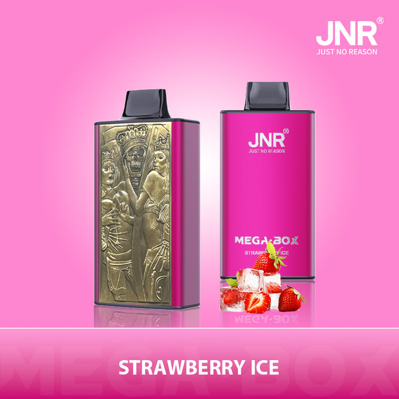 JNR Mega Box 25000 Rechargeable Disposable Vape