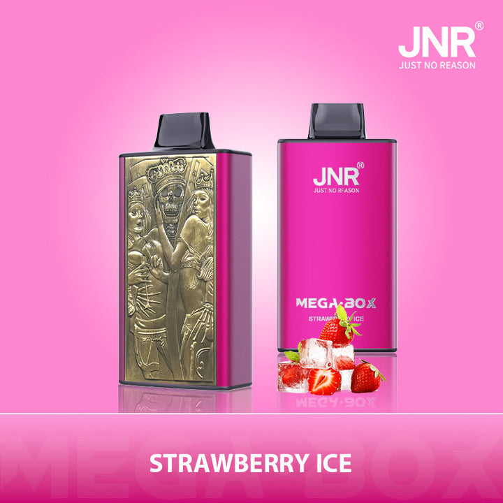 JNR Mega Box 25000 Rechargeable Disposable Vape