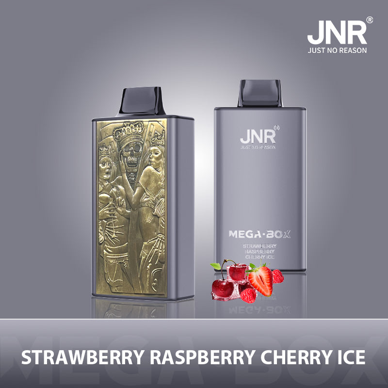 JNR Mega Box 25000 Rechargeable Disposable Vape