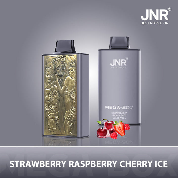 JNR Mega Box 25000 Rechargeable Disposable Vape