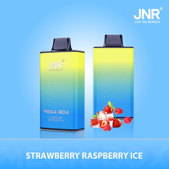 JNR Mega Box 25000 Rechargeable Disposable Vape