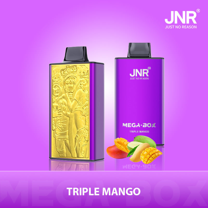 JNR Mega Box 25000 Rechargeable Disposable Vape